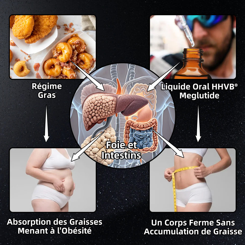 HHVB® GLP-1 Moringa Minceur & Gouttes de Boost de Santé (💥Brûleur de graisses de qualité alimentaire – Développé par The Obesity Society)