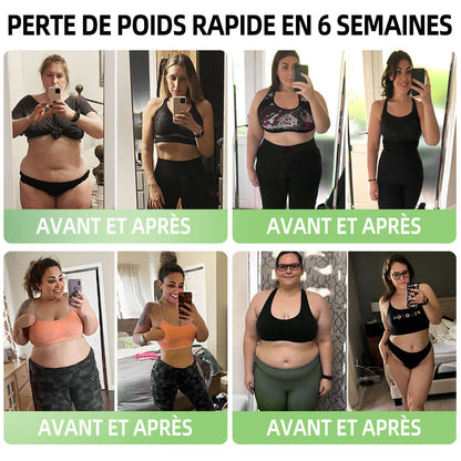 HHVB® GLP-1 Moringa Minceur & Gouttes de Boost de Santé (💥Brûleur de graisses de qualité alimentaire – Développé par The Obesity Society)