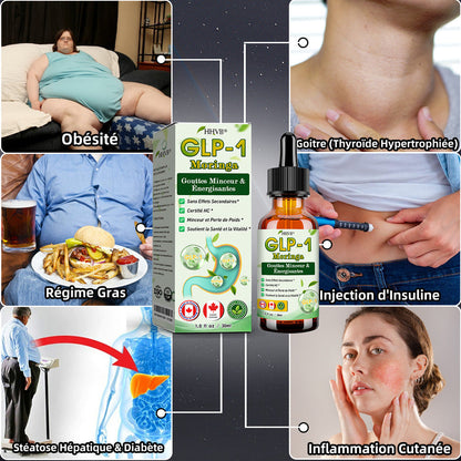 HHVB® GLP-1 Moringa Minceur & Gouttes de Boost de Santé (💥Brûleur de graisses de qualité alimentaire – Développé par The Obesity Society)