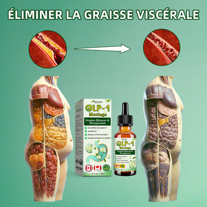 HHVB® GLP-1 Moringa Minceur & Gouttes de Boost de Santé (💥Brûleur de graisses de qualité alimentaire – Développé par The Obesity Society)